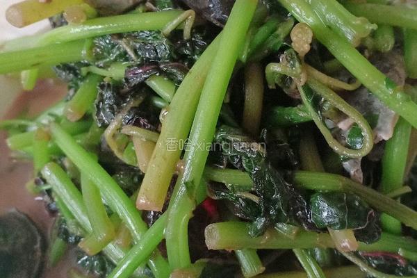 皮蛋炒恒菜