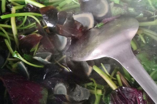 皮蛋炒恒菜的做法图解5