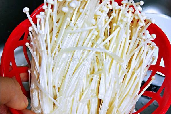 金针菇炒韭菜的做法图解4