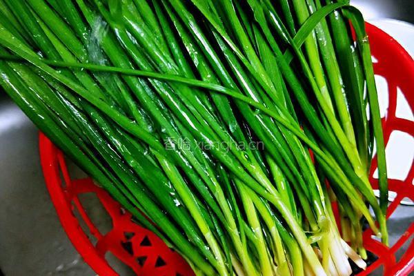 金针菇炒韭菜的做法图解5