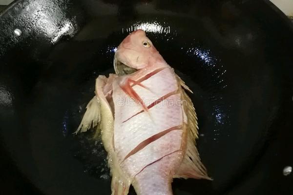 红烧鱼的做法图解7