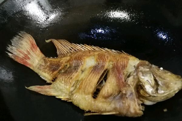 红烧鱼的做法图解8