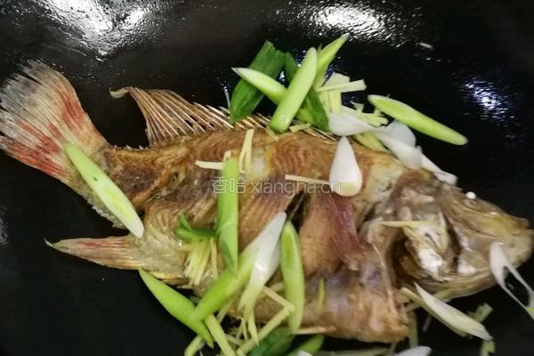 红烧鱼的做法图解9