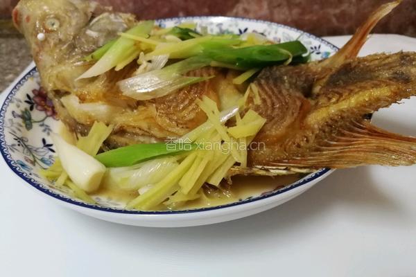 红烧鱼的做法图解14