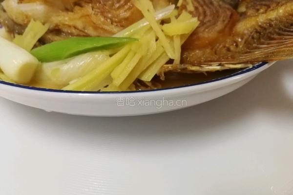 红烧鱼的做法图解15