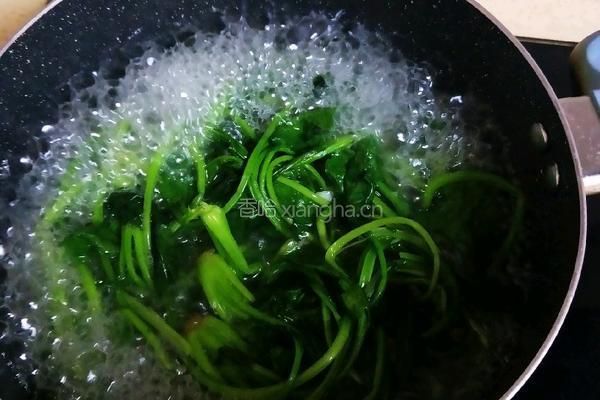 杏鲍菇拌菠菜的做法图解11