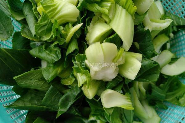 油菜炒香菇的做法图解4