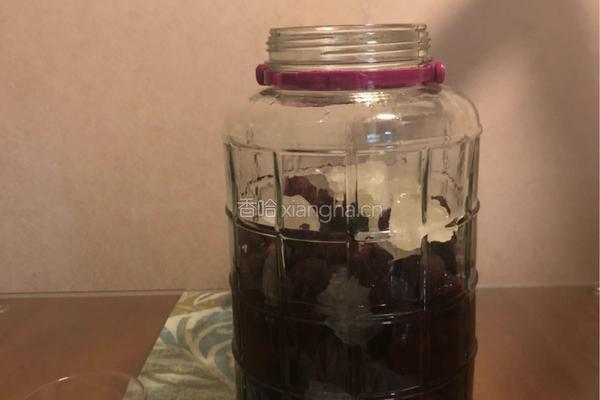 杨梅酒-小酌一杯就停不下来的做法图解8