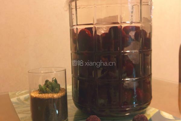杨梅酒-小酌一杯就停不下来的做法图解9