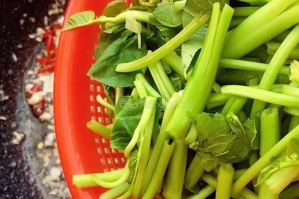 蒜香空心菜的做法图解9