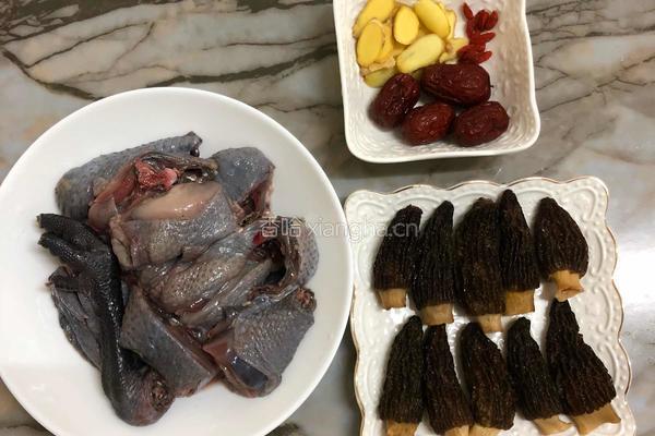 乌鸡羊肚菌的做法图解1