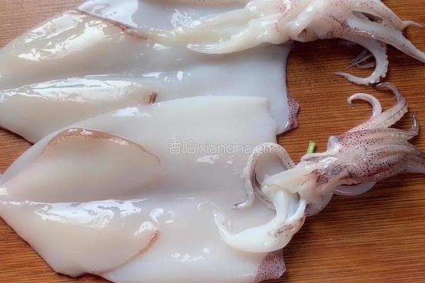 被炒鱿鱼的做法图解3