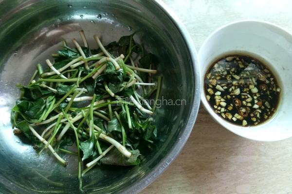 夏日轻 食凉拌折耳根 的做法图解8