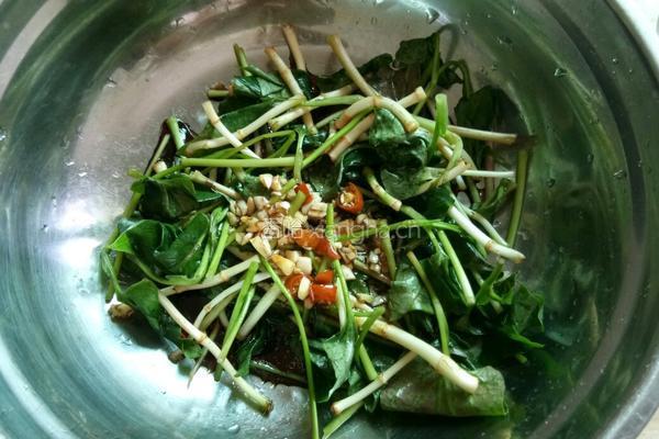 夏日轻 食凉拌折耳根 的做法图解9