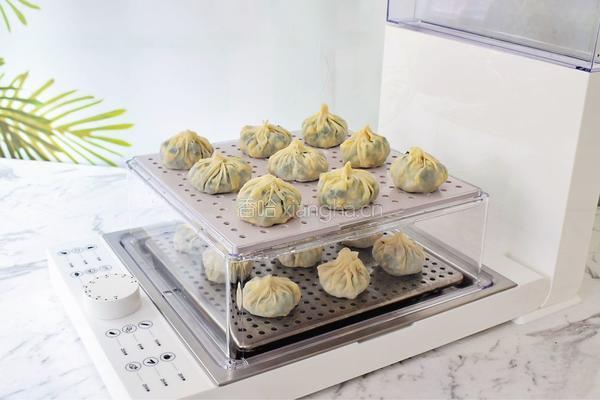 饺子皮三鲜包子的做法图解14