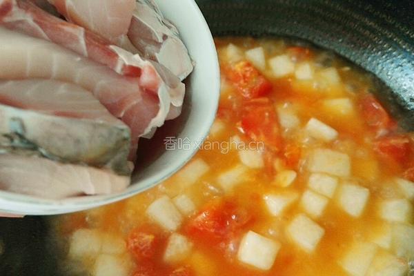 冬瓜番茄鱼的做法图解13