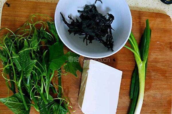 龙须菜豆腐汤的做法图解1