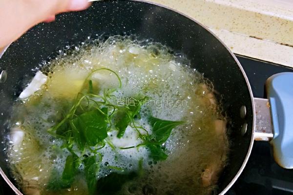龙须菜豆腐汤的做法图解7