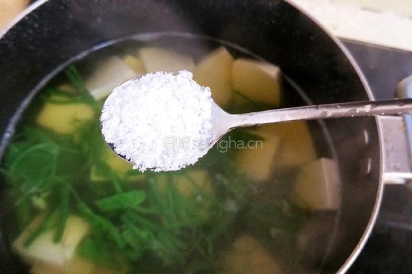 龙须菜豆腐汤的做法图解10