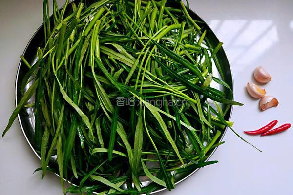 蒜香空心菜的做法图解1