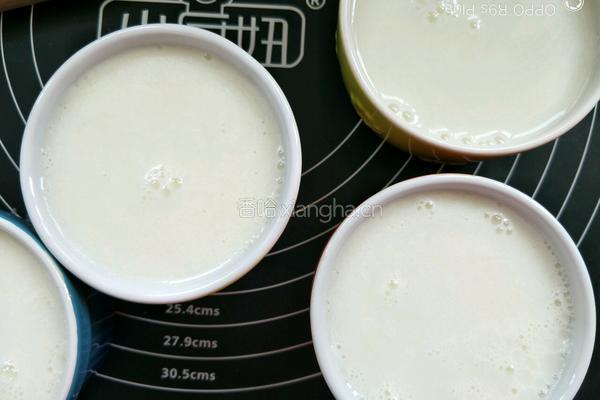 懒人双皮奶简单做法的做法图解4