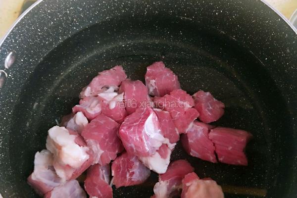 白萝卜炖牛肉#轻食减脂#的做法图解3