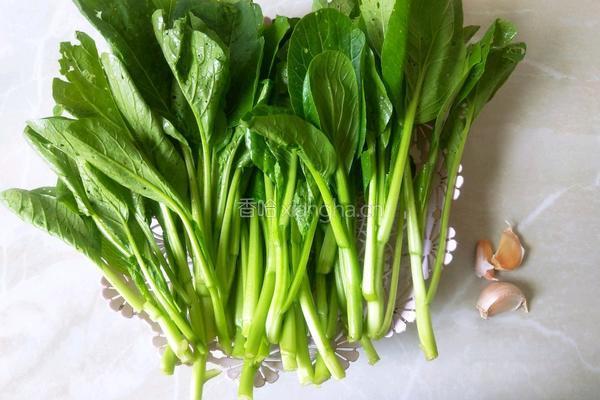 清炒菜心的做法图解1