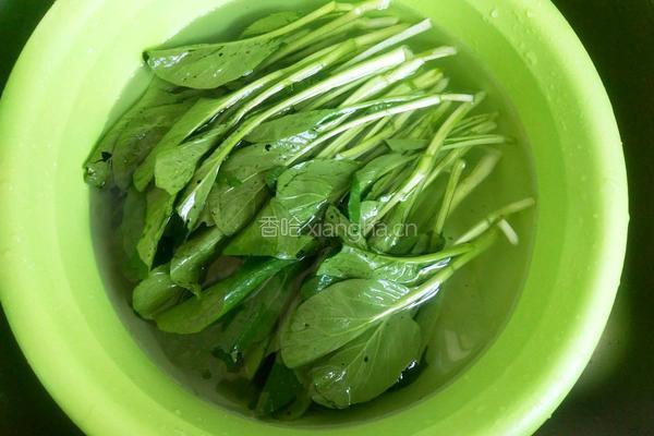 清炒菜心的做法图解2