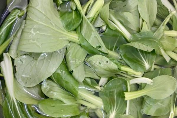 香菇炒油菜的做法图解1