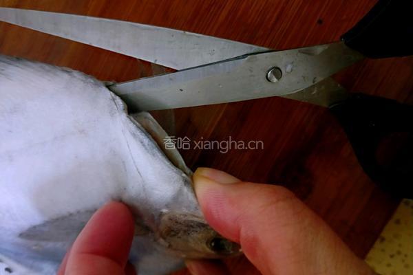 香煎鲳鱼的做法图解2