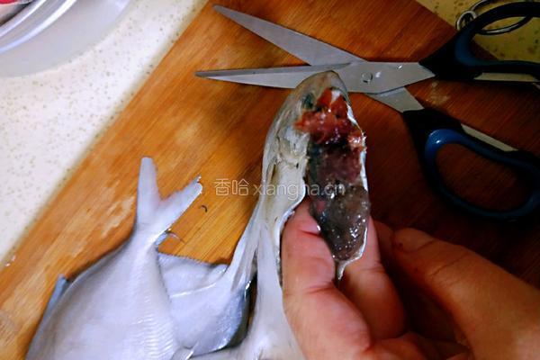清蒸鲳鱼的做法图解3