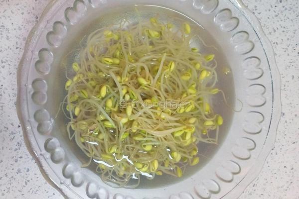 凉拌黄豆芽的做法图解3