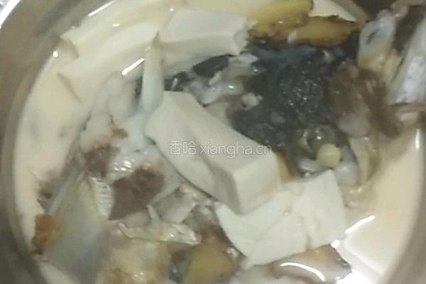 鱼头豆腐汤的做法图解6
