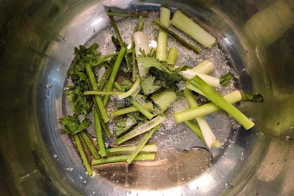 泡椒蒸鸡片的做法图解5