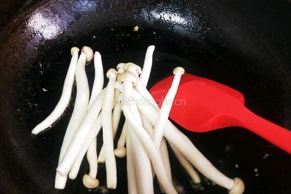 白玉菇炒青菜的做法图解5