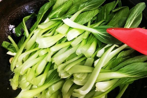 白玉菇炒青菜的做法图解7