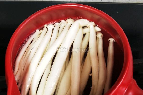 菌菇鲜虾汤的做法图解9