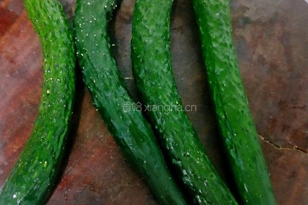 腌黄瓜（无辣）的做法图解1