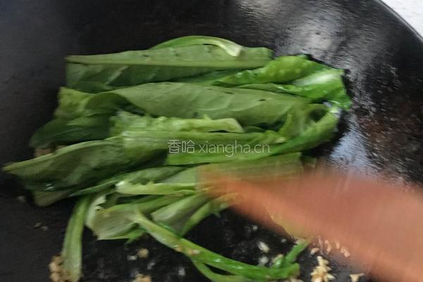 蒜蓉油麦菜的做法图解3