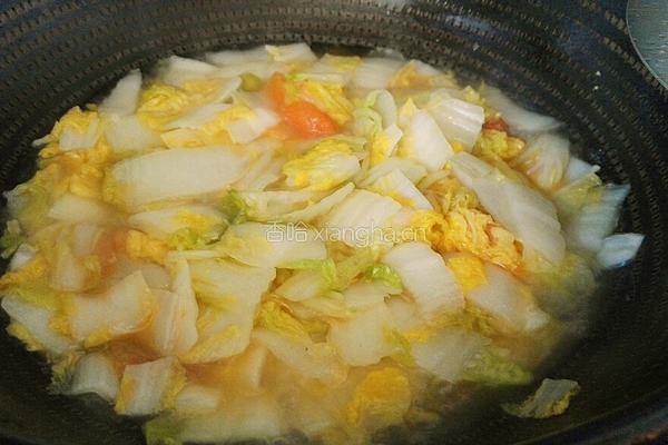 西红柿炒白菜的做法图解10