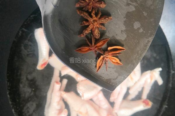 冰镇柠檬爪的做法图解9