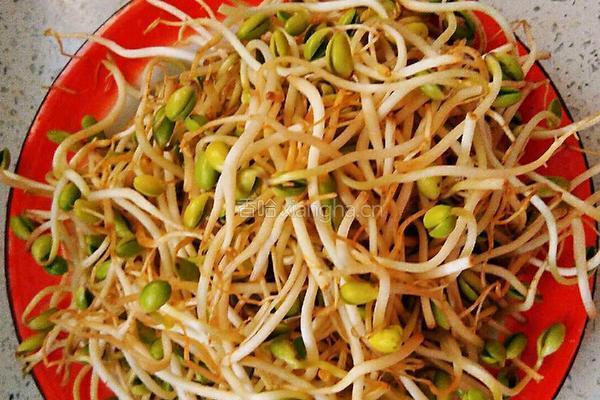 素炒豆芽的做法图解1