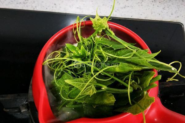 菌汤龙须菜的做法图解11