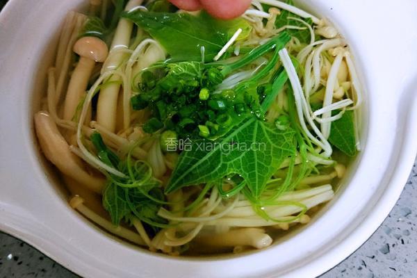 菌汤龙须菜的做法图解15