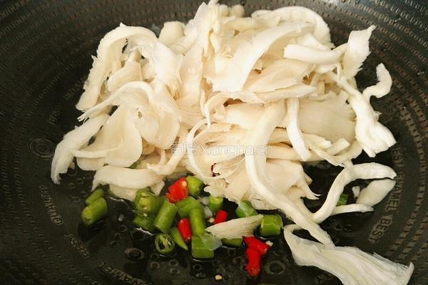 平菇豆腐的做法图解6