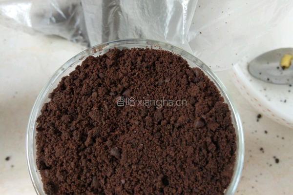 芒果酸奶盆栽的做法图解8