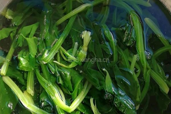 凉拌菠菜鹌鹑蛋的做法图解3