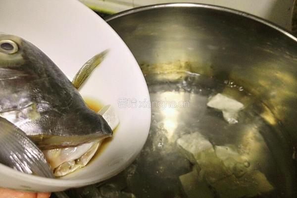 白菜豆腐鱼头汤的做法图解6