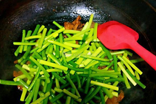 蒜薹炒肉的做法图解16