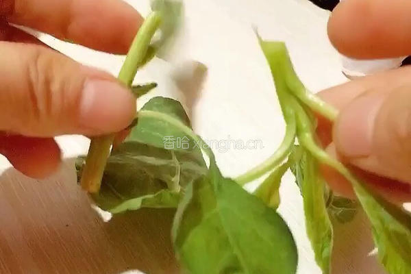 蒜香苋菜的做法图解2